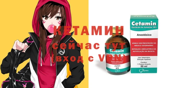гашик Пересвет