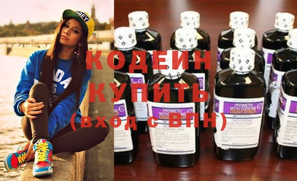 гашик Пересвет