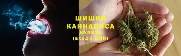 гашик Пересвет
