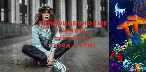 гашик Пересвет