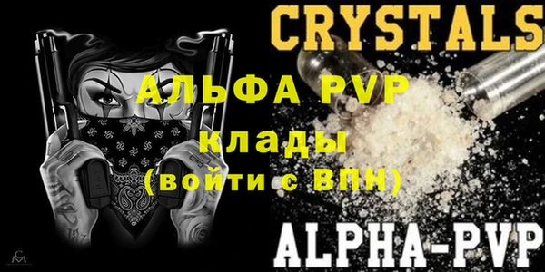 гашик Пересвет