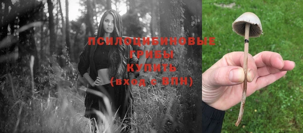 прущая мука Переславль-Залесский