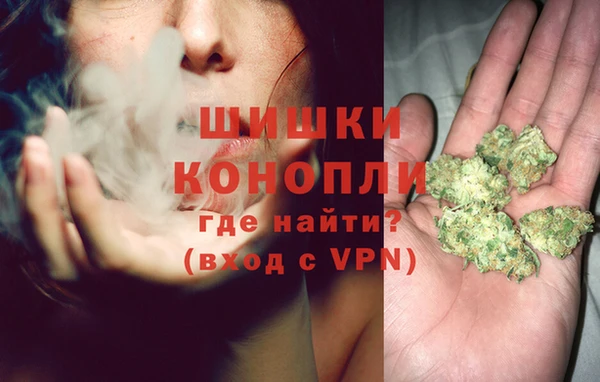 гашик Пересвет