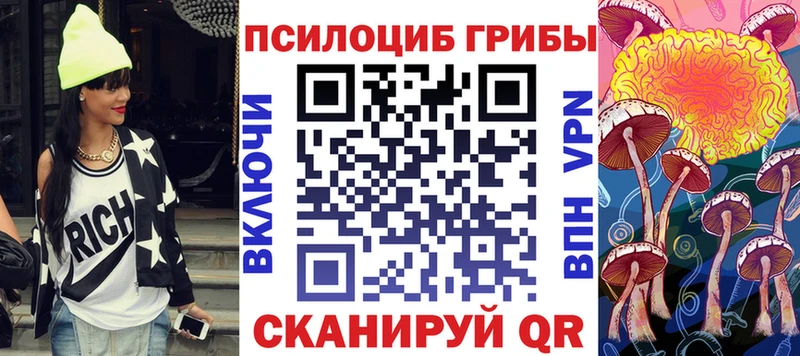 кракен   Севск  Псилоцибиновые грибы прущие грибы 